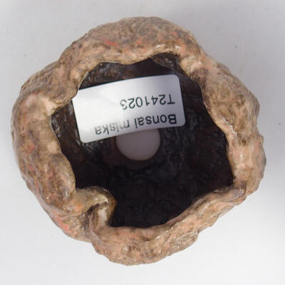 Ceramic shell 8 x 8 x 5 cm, color brown - 3