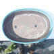 Bonsai bowl 41 x 29 x 10 cm color blue - 3/6
