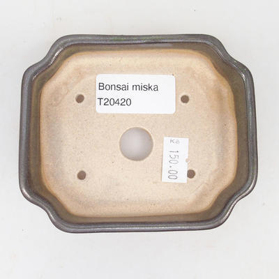 Ceramic bonsai bowl 10 x 8,5 x 2,5 cm, gray-green color - 3