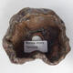 Ceramic shell 9 x 7.5 x 6 cm, color brown - 3/3