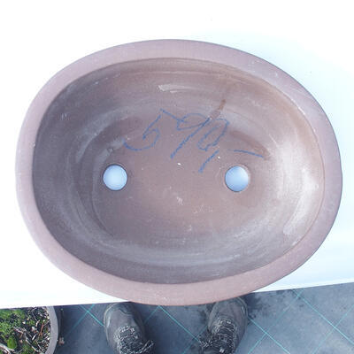Bonsai bowl 40 x 32 x 15 cm - 3