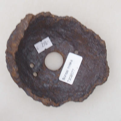 Ceramic shell 10 x 9 x 10 cm, color gray brown - 3