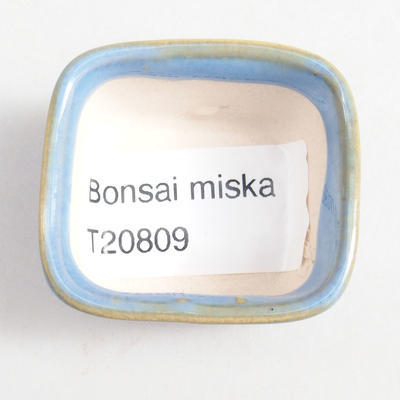 Mini bonsai bowl 4 x 3.5 x 2.5 cm, color blue - 3
