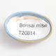 Mini bonsai bowl 4 x 2.5 x 1.5 cm, color blue - 3/3