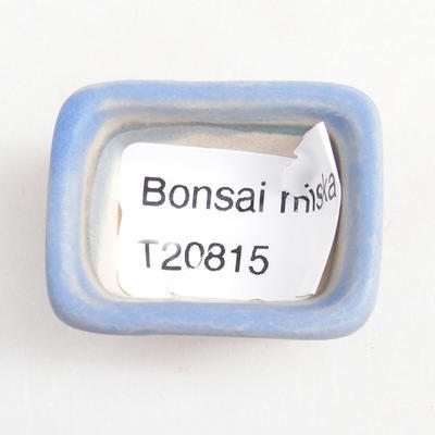 Mini bonsai bowl 3.5 x 2.5 x 2 cm, color blue - 3