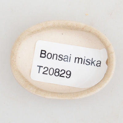 Mini bonsai bowl 4.5 x 3.5 x 1.5 cm, beige color - 3
