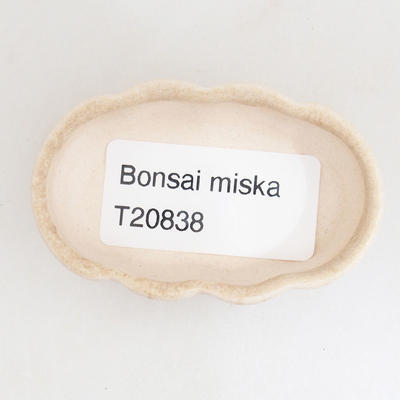 Mini bonsai bowl 5.5 x 3.5 x 2 cm, beige color - 3