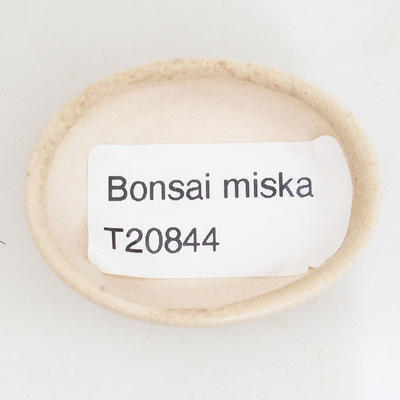 Mini bonsai bowl 4.5 x 3.5 x 1 cm, beige color - 3