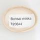 Mini bonsai bowl 4.5 x 3.5 x 1 cm, beige color - 3/3