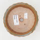 Ceramic bonsai bowl 11,5 x 11,5 x 4,5 cm, brown color - 3/4