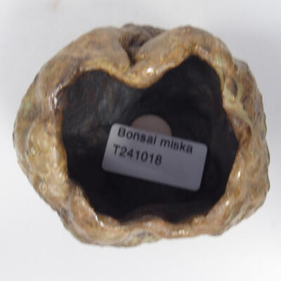 Ceramic shell 8 x 7 x 6 cm, color brown - 3