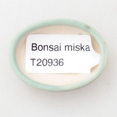 Mini bonsai bowl 4.5 x 3 x 1 cm, color green - 3
