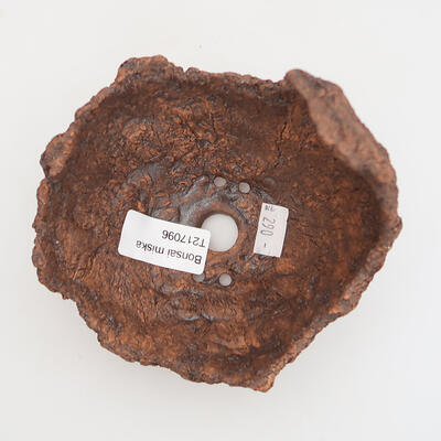 Ceramic shell 12 x 12 x 12 cm, color brown - 3