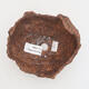 Ceramic shell 12 x 12 x 12 cm, color brown - 3/3