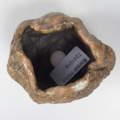 Ceramic shell 8.5 x 7 x 6 cm, color brown - 3