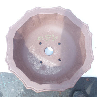 Bonsai bowl 31 x 31 x 9 cm - 3