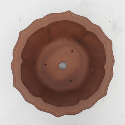 Bonsai bowl 31 x 31 x 15 cm - Japanese quality - 3