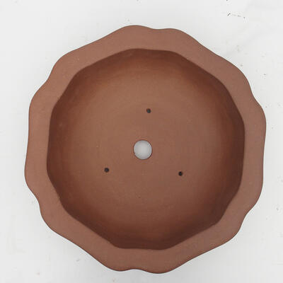Bonsai bowl 33 x 33 x 10 cm - Japanese quality - 3