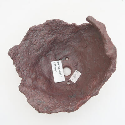 Ceramic shell 14 x 14 x 13 cm, color brown - 3
