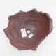 Ceramic shell 17 x 16 x 13 cm, color brown - 3/3