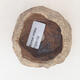 Ceramic shell 6 x 6 x 6 cm, brown color - 3/3