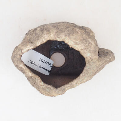 Ceramic shell 6 x 5 x 6 cm, color brown - 3