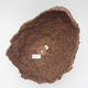 Ceramic shell 24 x 25 x 25 cm, color brown - 3/3