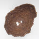Ceramic shell 27 x 25 x 23 cm, color brown - 3/3