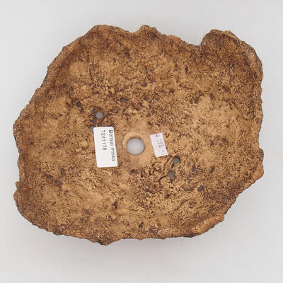 Ceramic shell 19 x 19 x 11.5 cm, color brown - 3