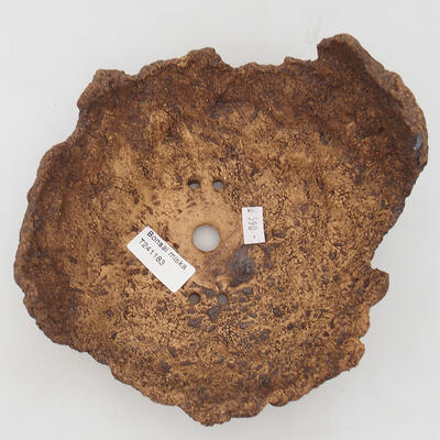 Ceramic shell 17 x 19 x 12.5 cm, color brown - 3