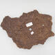 Ceramic shell 30 x 24 x 4.5 cm, color brown - 3/3