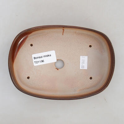Ceramic bonsai bowl 15.5 x 10.5 x 3 cm, brown color - 3