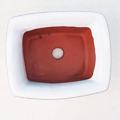 Bonsai ceramic bowl H 11, white - 3