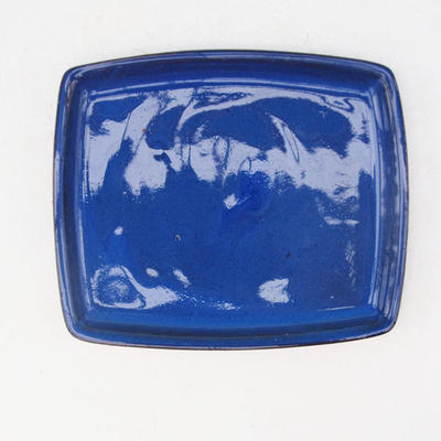 Bonsai tray H11 - 11 x 9,5 x 1 cm, blue - 11 x 9.5 x 1 cm - 3