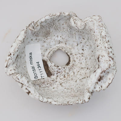Ceramic Shell - 3
