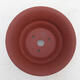 Bonsai bowl 10.5 x 10.5 x 4.5 cm, brick color - 3/3