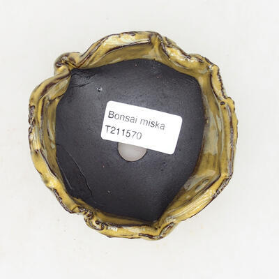 Ceramic shell 8 x 8 x 5.5 cm, color yellow - 3