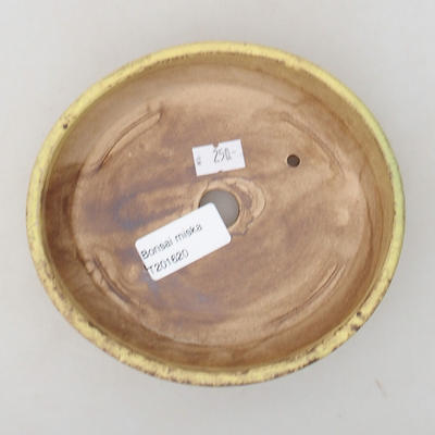 Ceramic bonsai bowl 15 x 13.5 x 4 cm, color yellow - 3