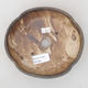 Ceramic bonsai bowl 18 x 15.5 x 4 cm, brown color - 3/3