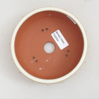 Ceramic bonsai bowl 14 x 14 x 5 cm, beige color - 3