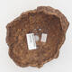 Ceramic Shell 11.5 x 11 x 11.5 cm, color brown - 3/3