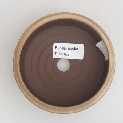 Ceramic bonsai bowl 11 x 11 x 4 cm, color beige - 3