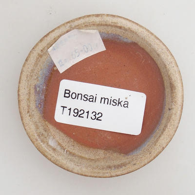 Ceramic bonsai bowl 6.5 x 6.5 x 1.5 cm, color beige - 3