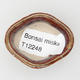Mini bonsai bowl - 3/3