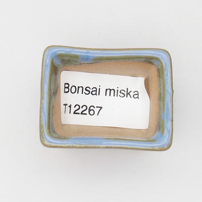 Mini bonsai bowl 4 x 3 x 2.5 cm, color blue - 3
