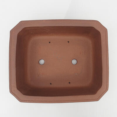 Bonsai bowl 37 x 31 x 12 cm - Japanese quality - 3