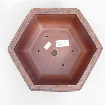 Ceramic bonsai bowl 24 x 21,5 x 8 cm, brown color - 3