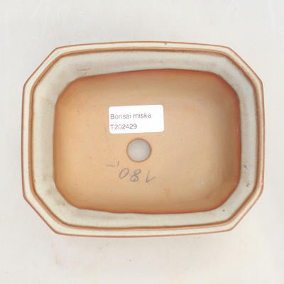 Bonsai bowl 14.5 x 12 x 6.5 cm, beige color - 3
