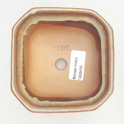 Bonsai bowl 11 x 11 x 6.5 cm, brown-beige color - 3