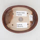 Ceramic bonsai bowl 12 x 9 x 2,5 cm, color brown - 2nd quality - 3/4